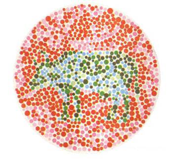 高考体检要开始了，这些事项考生须了解