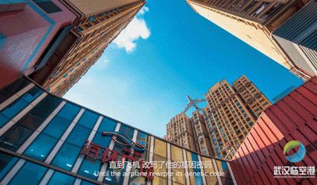 武汉我们并肩作战绘画,我眼中的武汉画