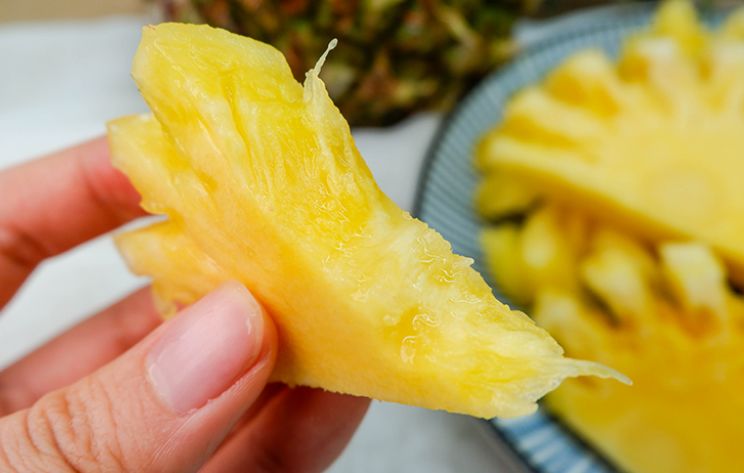 云南香水小菠萝当季现摘新鲜水果,云南河口山坡上的野菠萝