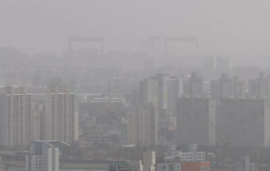 乔治小王子未来国王,乔治小王子知道自己是王子