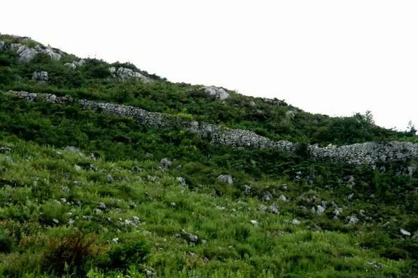 普定发生的事最新消息,普定最新消息