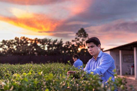 安利60周年庆典,安利新体验