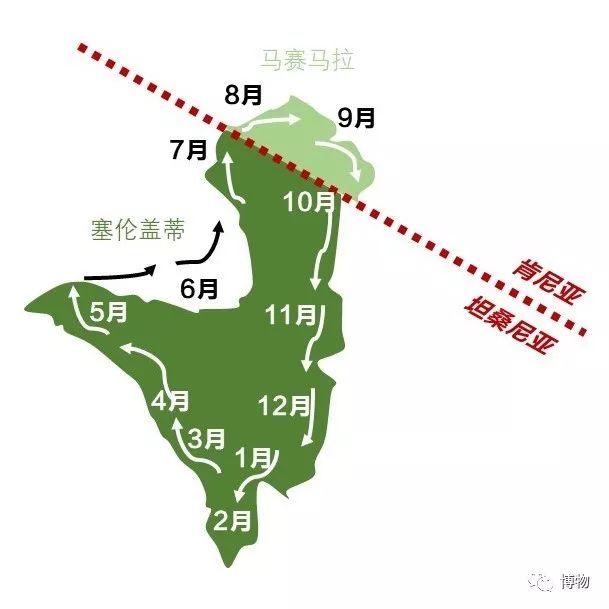 肯尼亚博物学之旅,博物肯尼亚