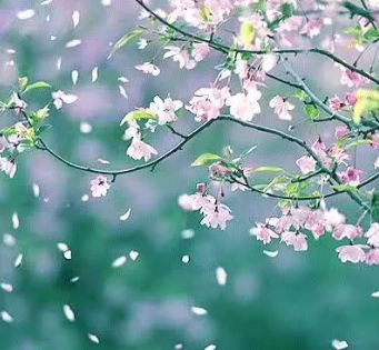 有关雨的唯美的诗词,那些关于雨的唯美诗句