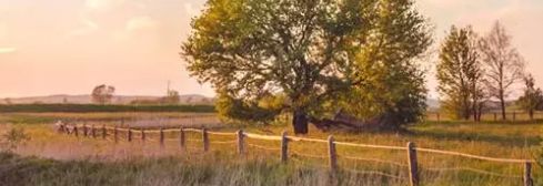 每日好诗词朗读,每日好诗