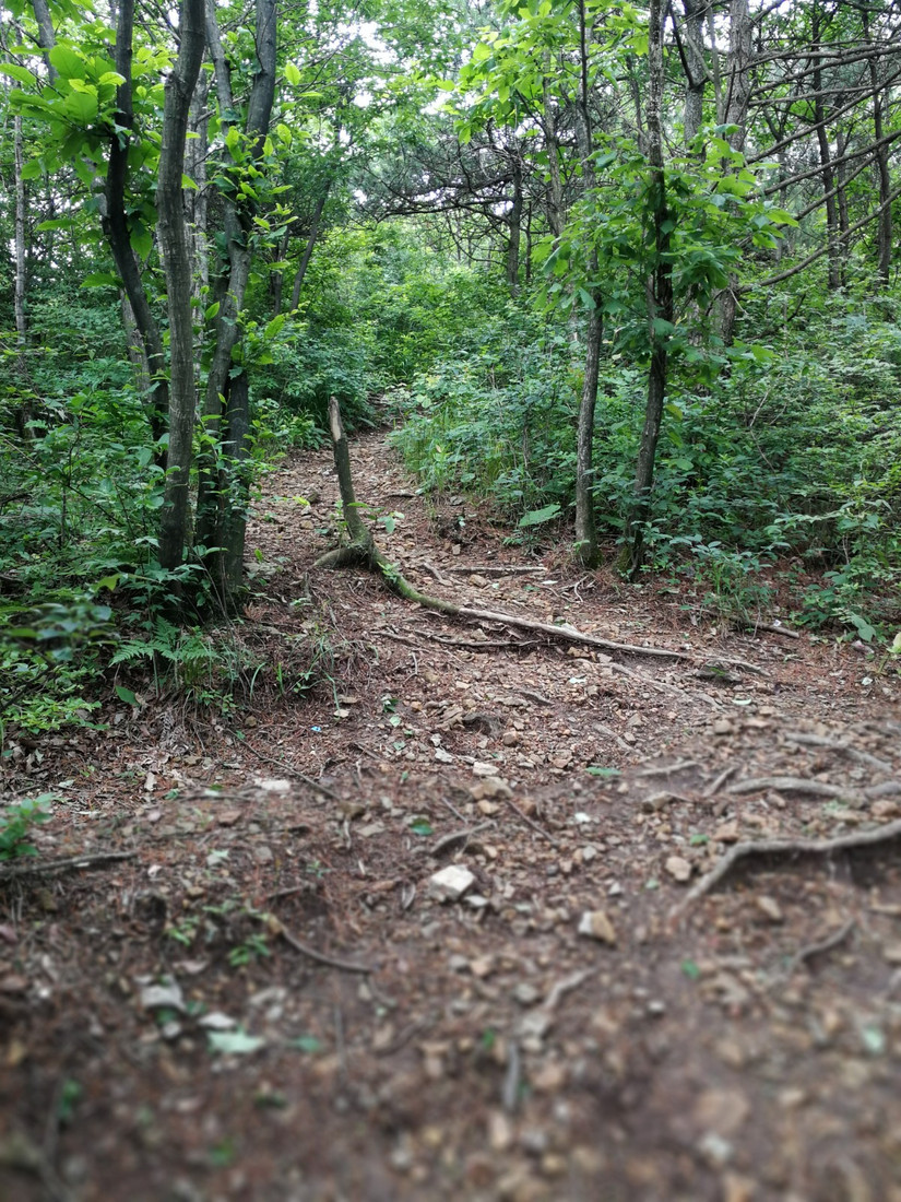搁船尖登顶难度,搁船尖天目山光明顶