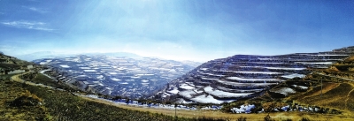 阿干镇,阿干镇煤炭