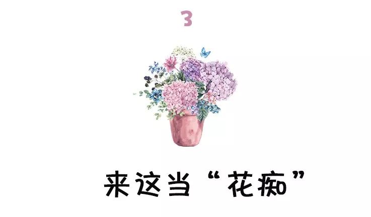 西安最大花卉交易市场,西安朱宏路丰产路巨坤花卉市场