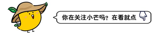 全国沙滩运动会,2020年三亚沙滩运动会地址