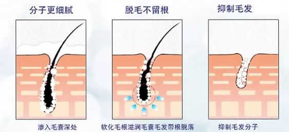 店庆全攻略,店庆攻略