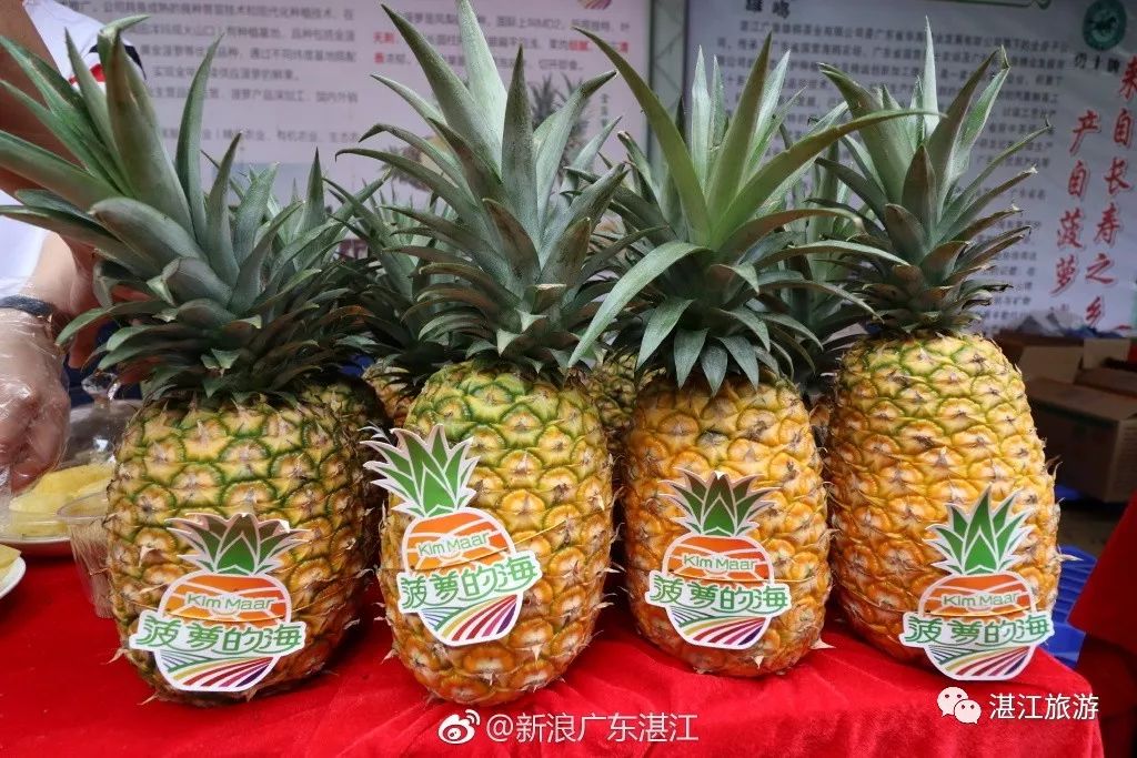 一月份湛江好去处,湛江适合几月份去