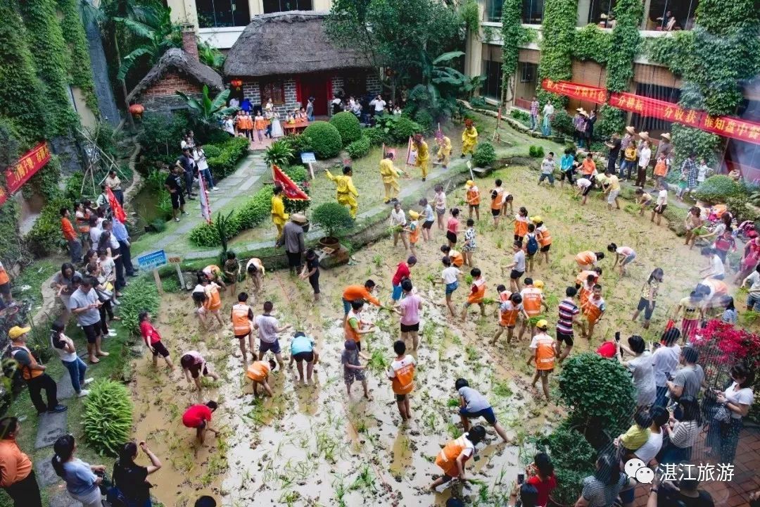 一月份湛江好去处,湛江适合几月份去