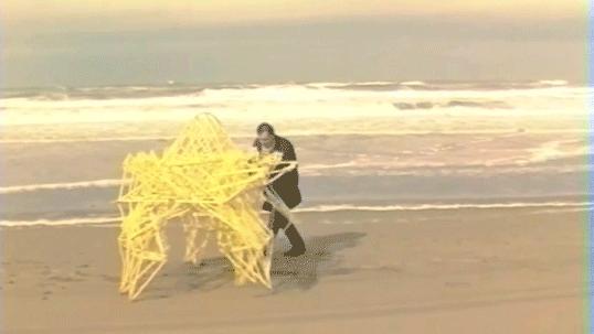 海边，他养了一群吃风的怪兽