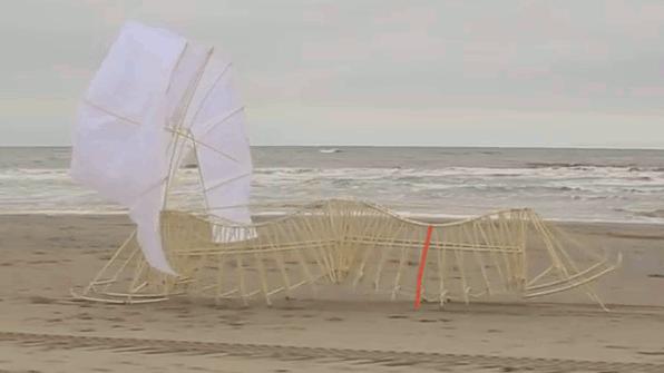 海边，他养了一群吃风的怪兽