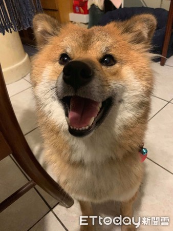 鎾掑▏鏌存煷瑙嗛澶у叏,鎾掑▏鏌寸姮琚墦