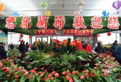 十五届长春君子兰节开幕式,第十七届中国长春君子兰节