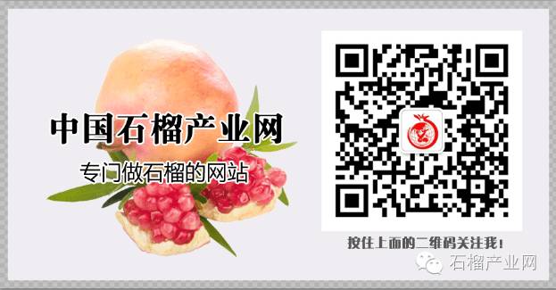 石榴树病虫害的防治与用药,石榴树的常见病虫害防治方法