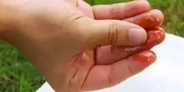 一招教你辨别真假机油,假机油汽车什么症状