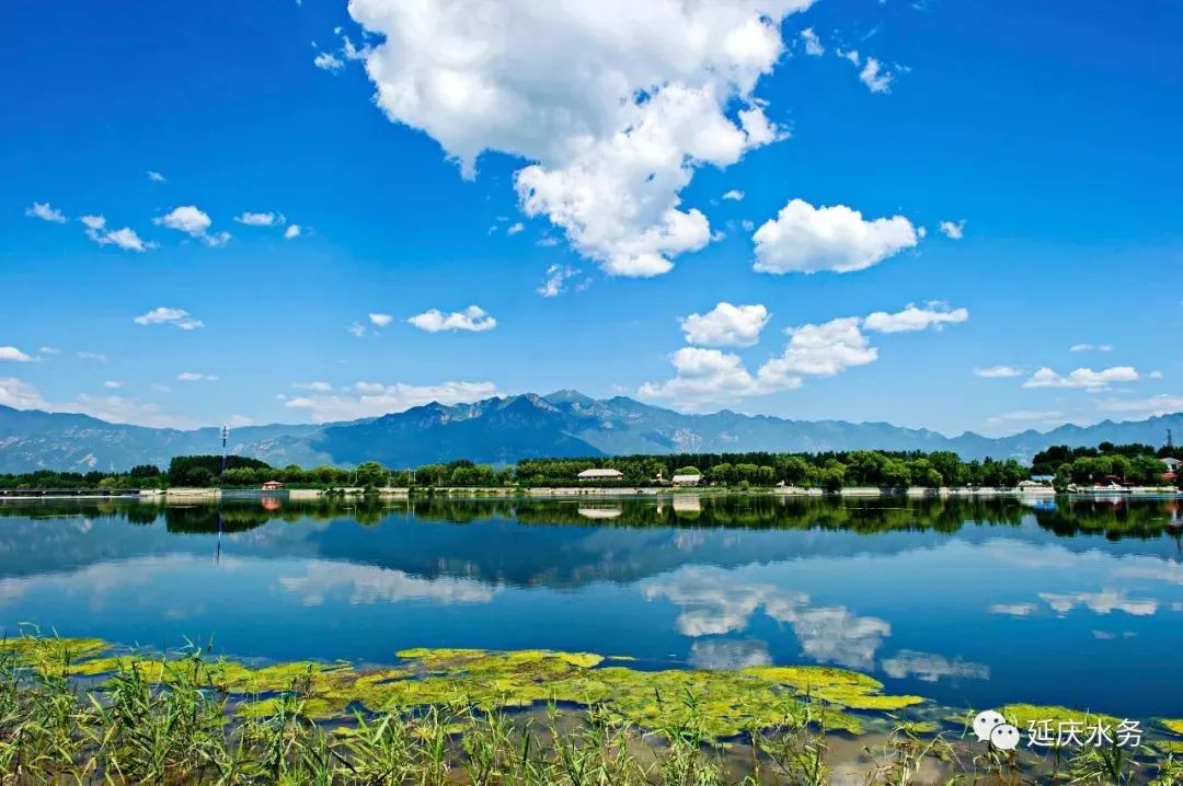 延庆的妫水河的变化,延庆妫河发源地