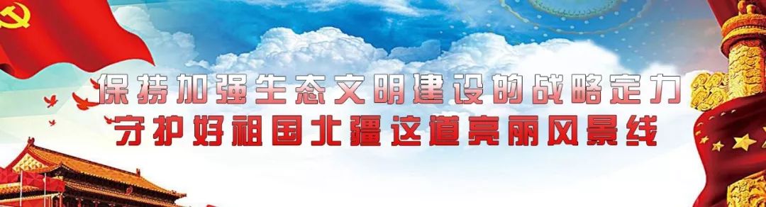 【青山·荐】重磅！青山区2019年义务教育阶段学校招生工作实施意见