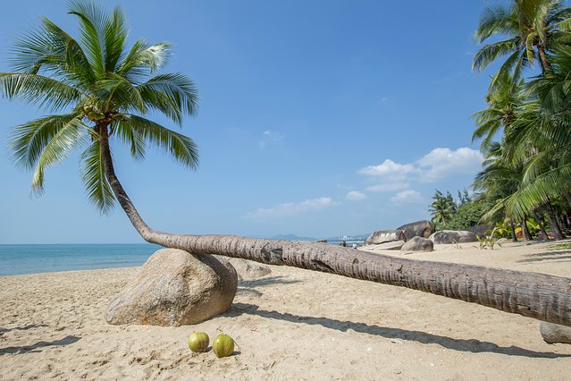 三亚大东海美食攻略,三亚海鲜美食攻略