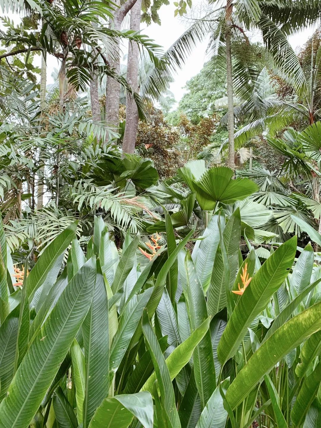 新加坡周末休闲,新加坡周末生活