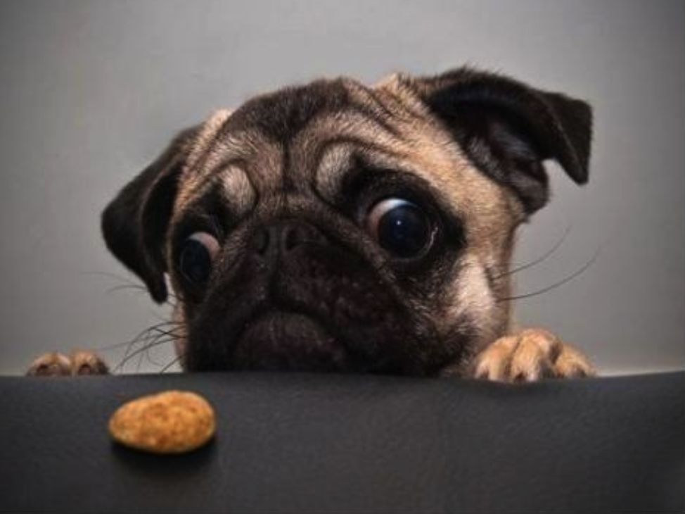 未来百亿母婴市场,母婴2万亿市场