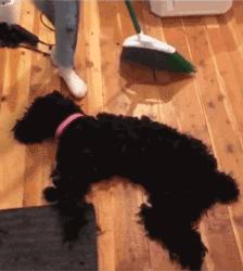 丽客隆超市上班,丽客隆新店招聘