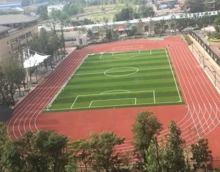 近年来校园足球工作做法以及成效,推动校园足球高质量发展