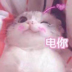 让人想回购n次的口红,让我回购的化妆品