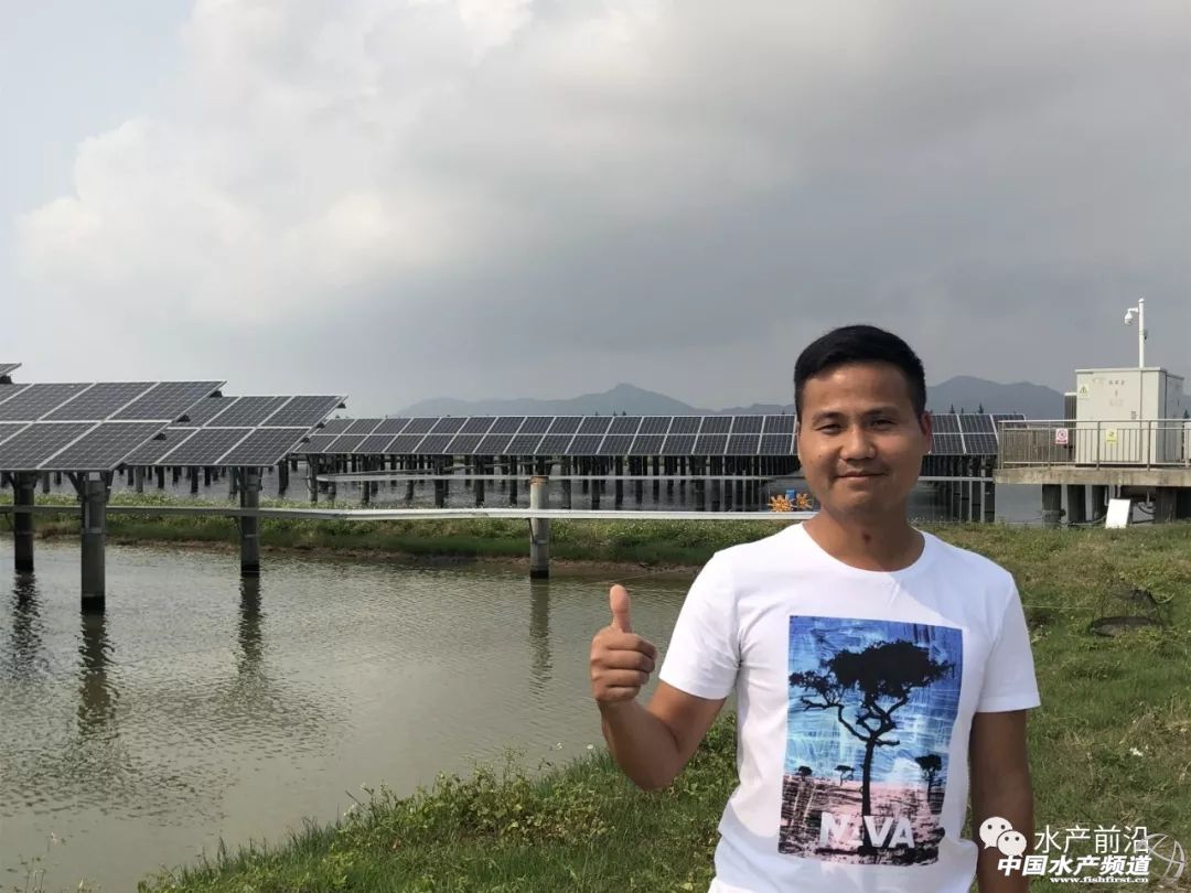 通威最新发布消息,通威降价对下游有什么影响