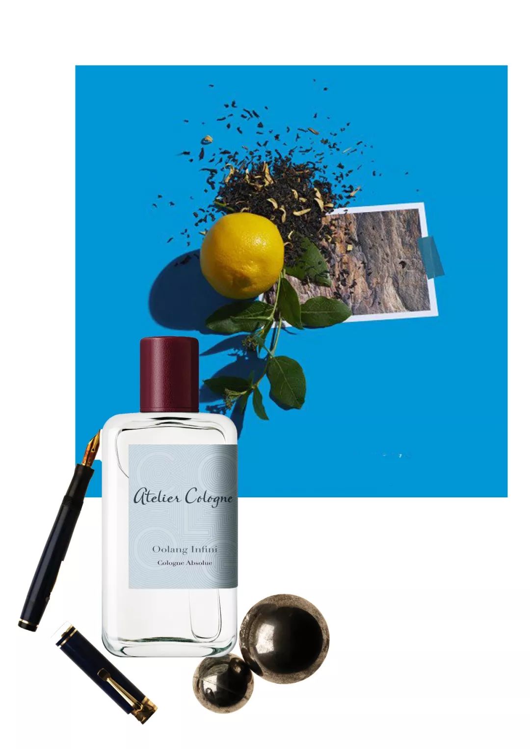 omg买它买它什么梗,omg买它原版