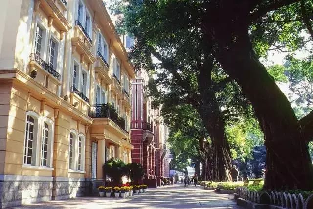 广州适合春游的免费景点,春游广州最适合去的地方