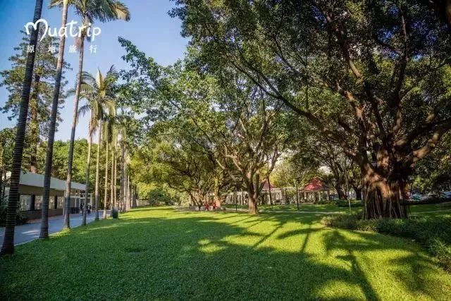 广州适合春游的免费景点,春游广州最适合去的地方