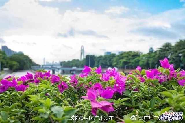 广州适合春游的免费景点,春游广州最适合去的地方