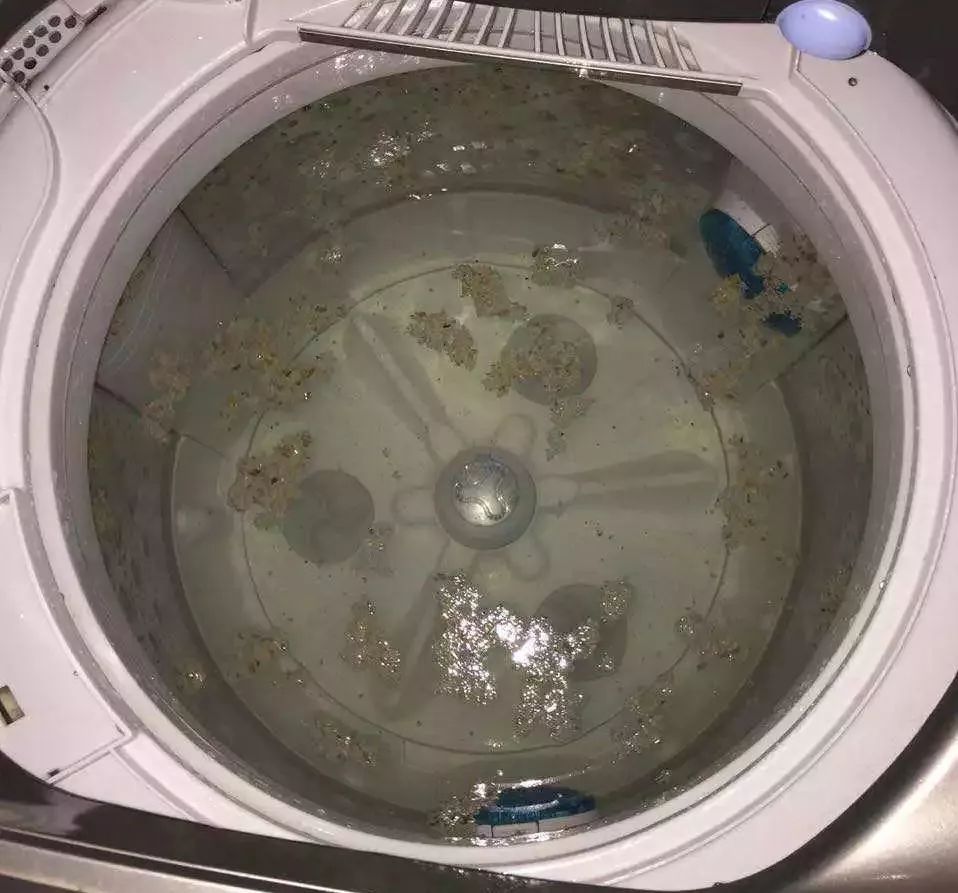 难熬的日子里幸好有你,难熬的这四年