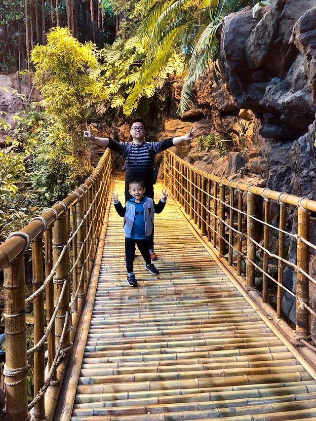 缓慢游玩迪士尼,慢慢悠悠的游玩