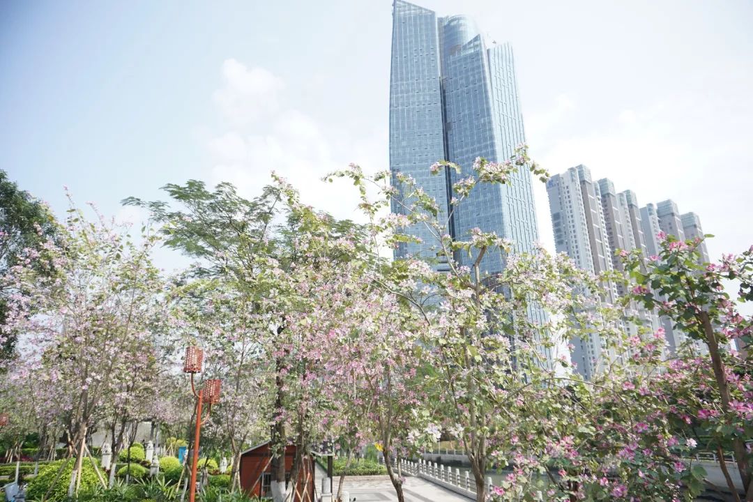 广州天河的绿道,天河绿道