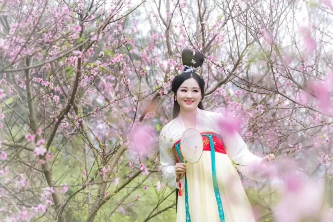 柳州2月花海景点,柳州花海打卡景观