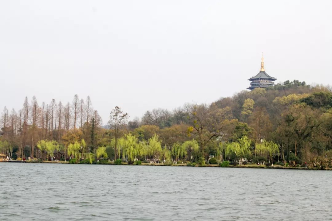 摇船前往酒店，睡在百花深处|杭州最仙儿的打开方式叫紫萱！