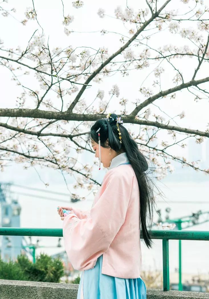 央视武汉樱花,央视新闻一起来看武汉樱花