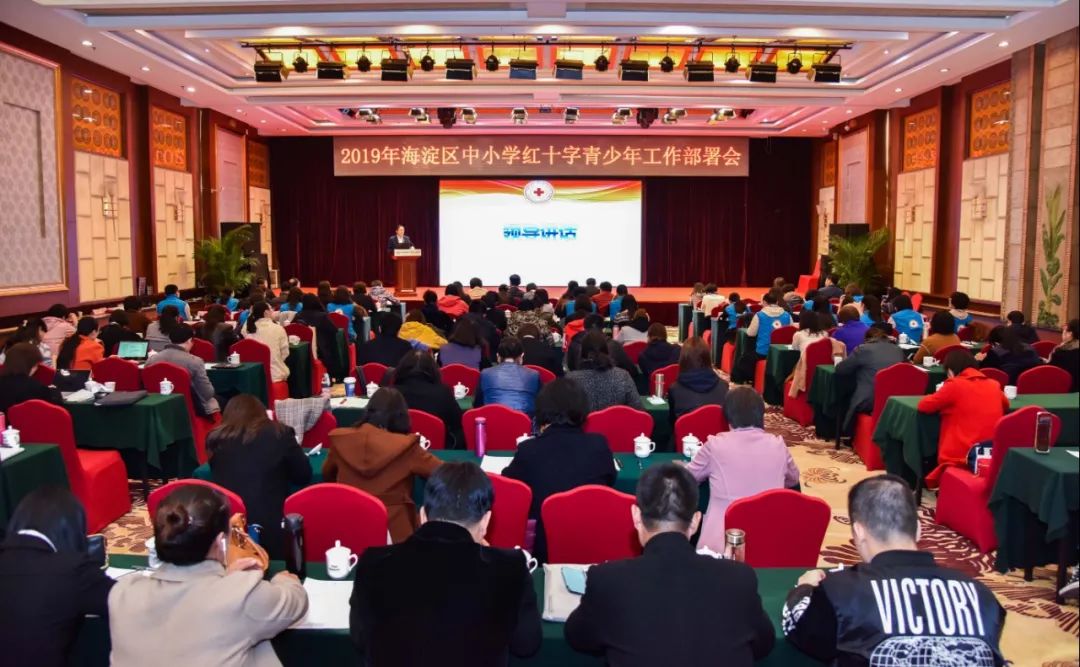 2024年度红十字工作会议,红十字会党组工作要点