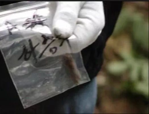 韩国三大悬案失踪案在哪看,韩国三十年未解悬案五少年失踪