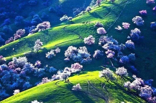 哈密人速看！！千万别错过，哈密去这些地方居然还有打折机票！低至0.6折！！现在还....