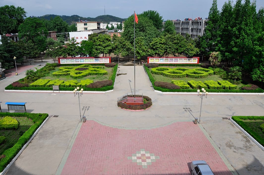 网吧和诊所编织起了南召县城丨小地方