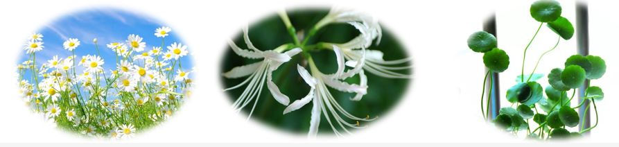 1元秒杀高倍防晒,持久高倍防晒平价防紫外线