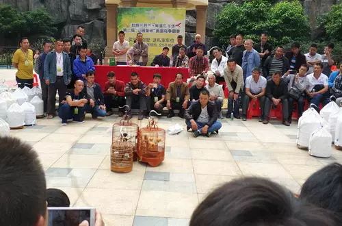 【嘿撩撩啰】壮族三月三,梧州等你撩!