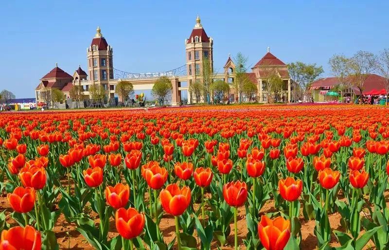 免票或半价！全国几百个景区集体降价，河南有这些…千万别错过！