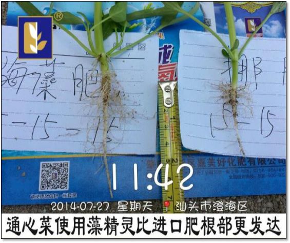 C位出道！嘉美好“藻精灵”正宗的海藻高塔复合肥，赶快报名免费尝鲜啦