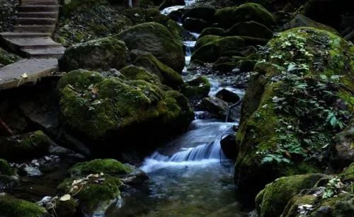 南阳高铁最全资料！站前四大项目公开，打开南阳交通新篇章